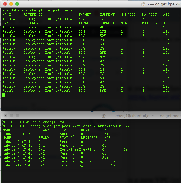 Screen Shot 2017-11-02 at 10.07.20 AM.png